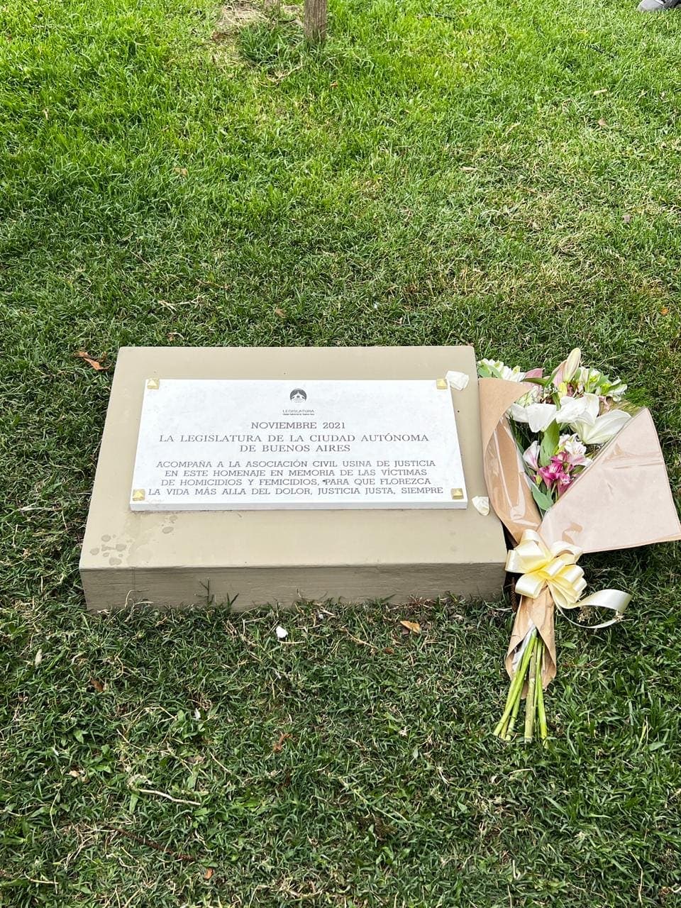 Una sociedad se vuelve grandiosa cuando las personas plantan arboles cuya sombra saben que nunca disfrutarán.