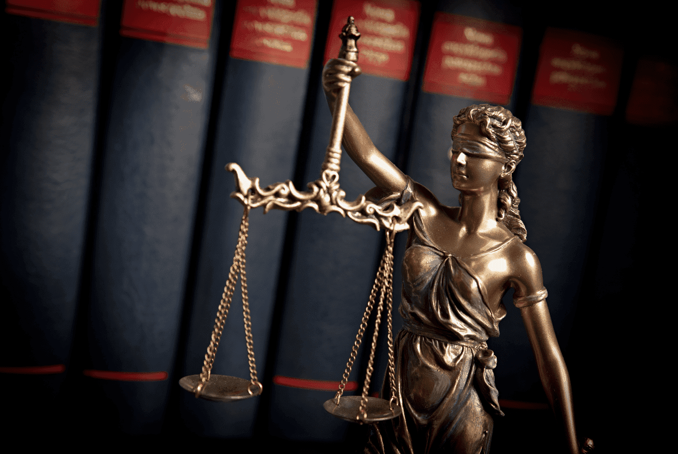 Amicus Curiae – Cejas Meliere