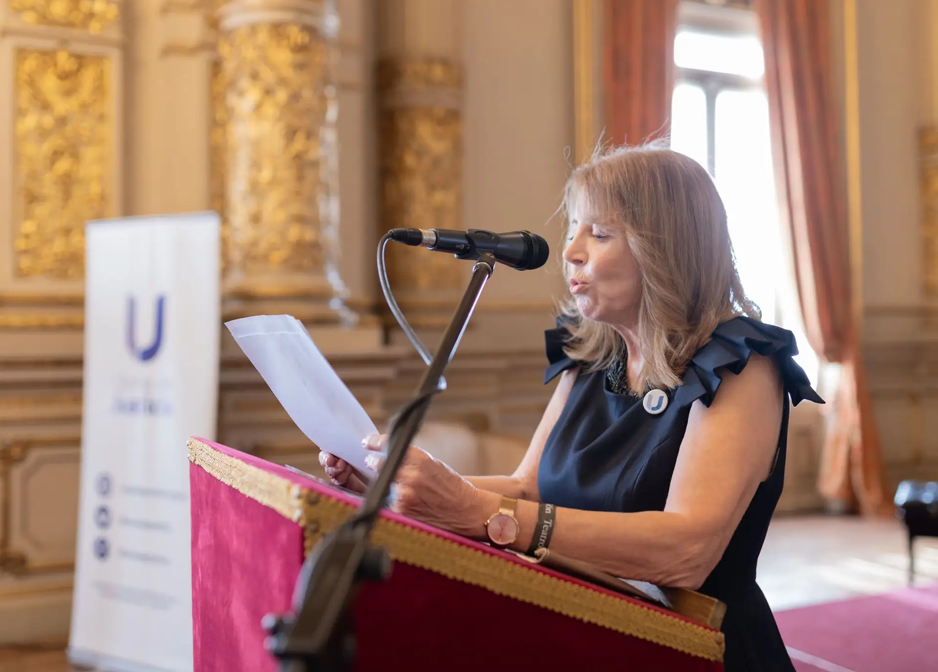 La Presidenta de Usina de Justicia, Diana Cohen Agrest, habló sobre los 10 años de lucha de la institución.